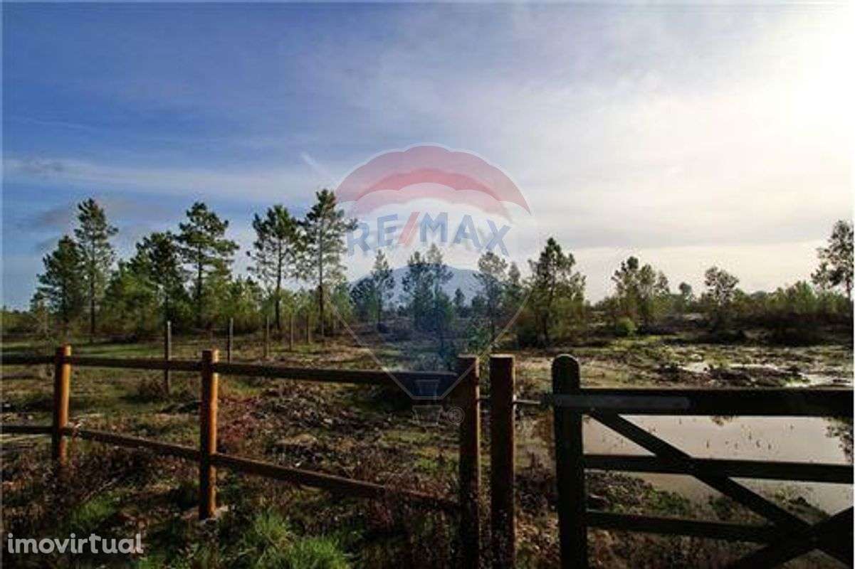 Terreno  para venda - Grande imagem: 4/4