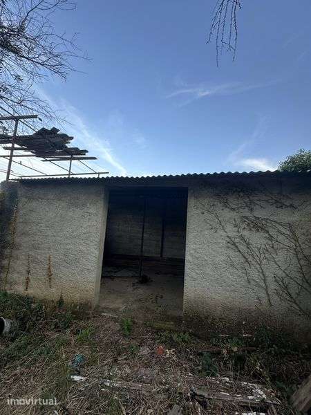 Casa c/ terreno - Grande imagem: 5/6