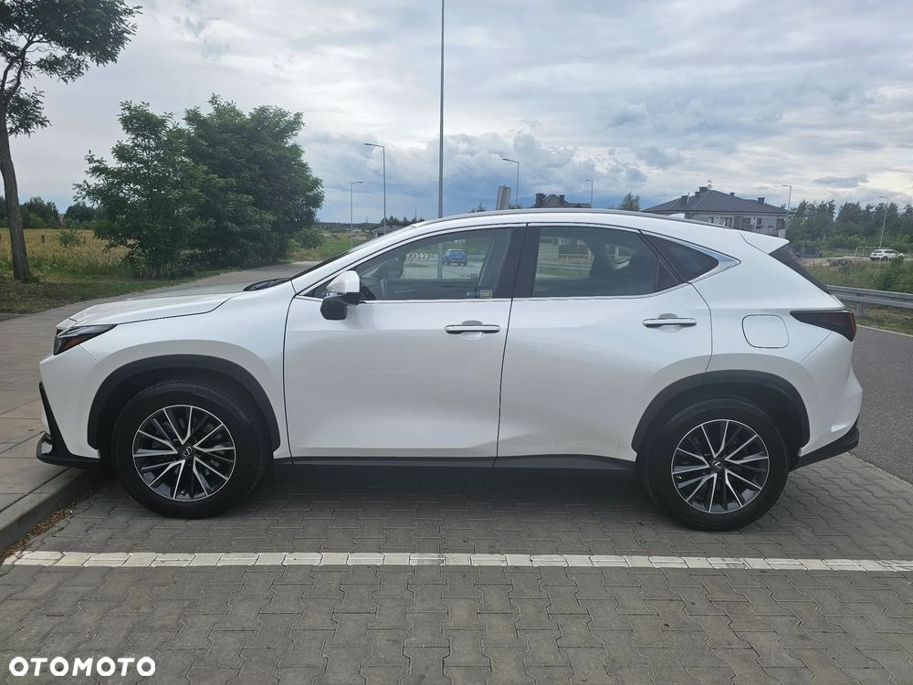 Lexus NX 300 Business Edition AWD - 6