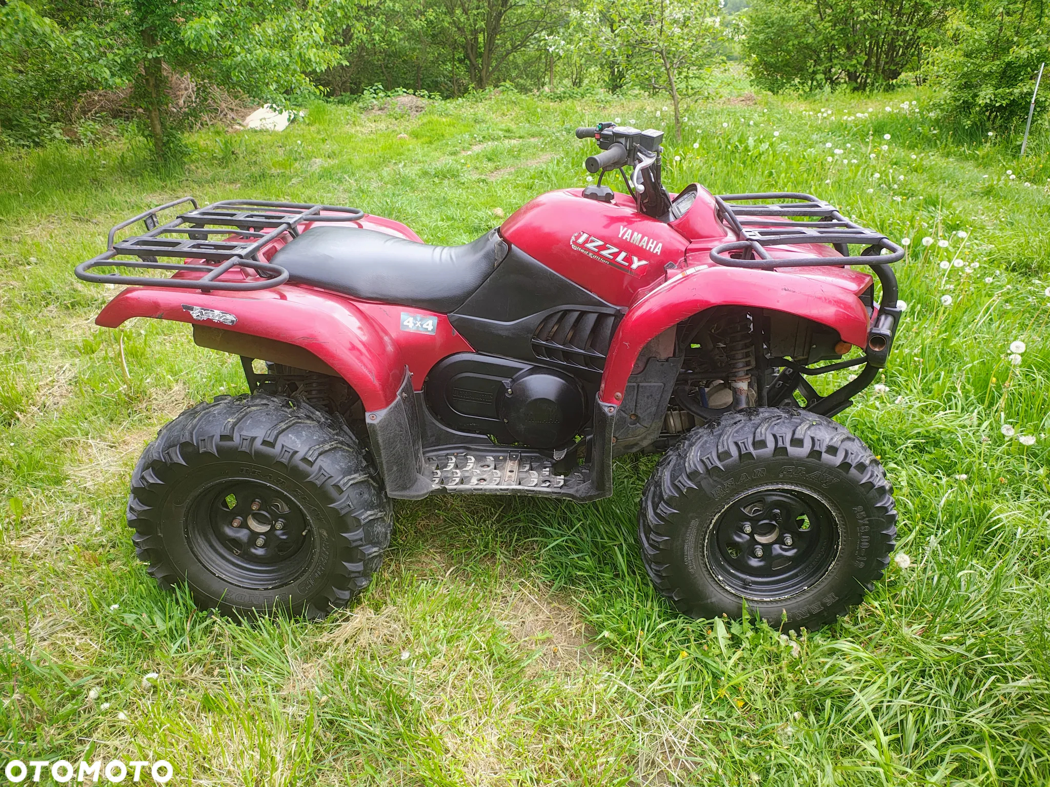 Yamaha Grizzly