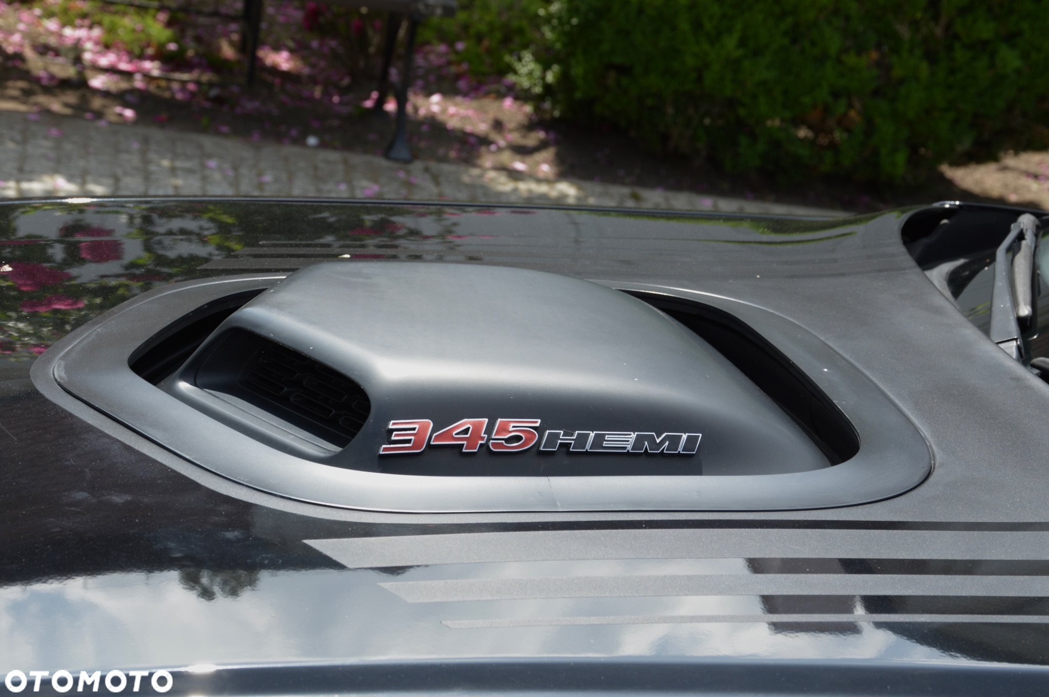 Dodge Challenger Automatik R/T Plus Shaker - 25