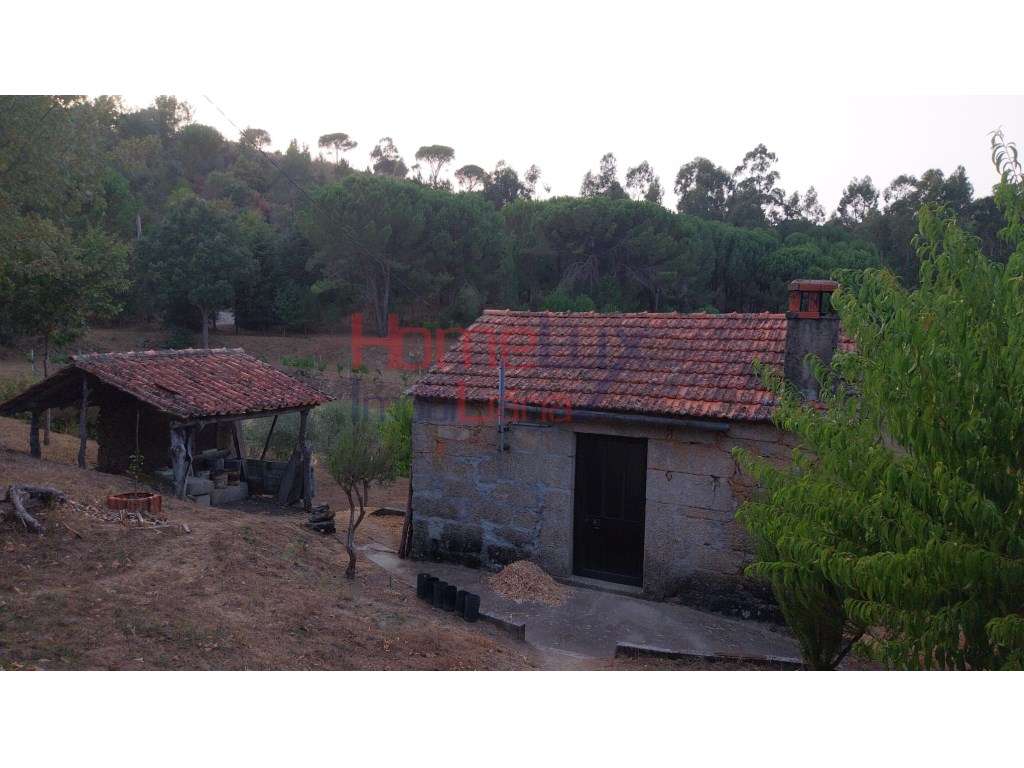 Quinta para venda em Tábua, Coimbra - Grande imagem: 5/45