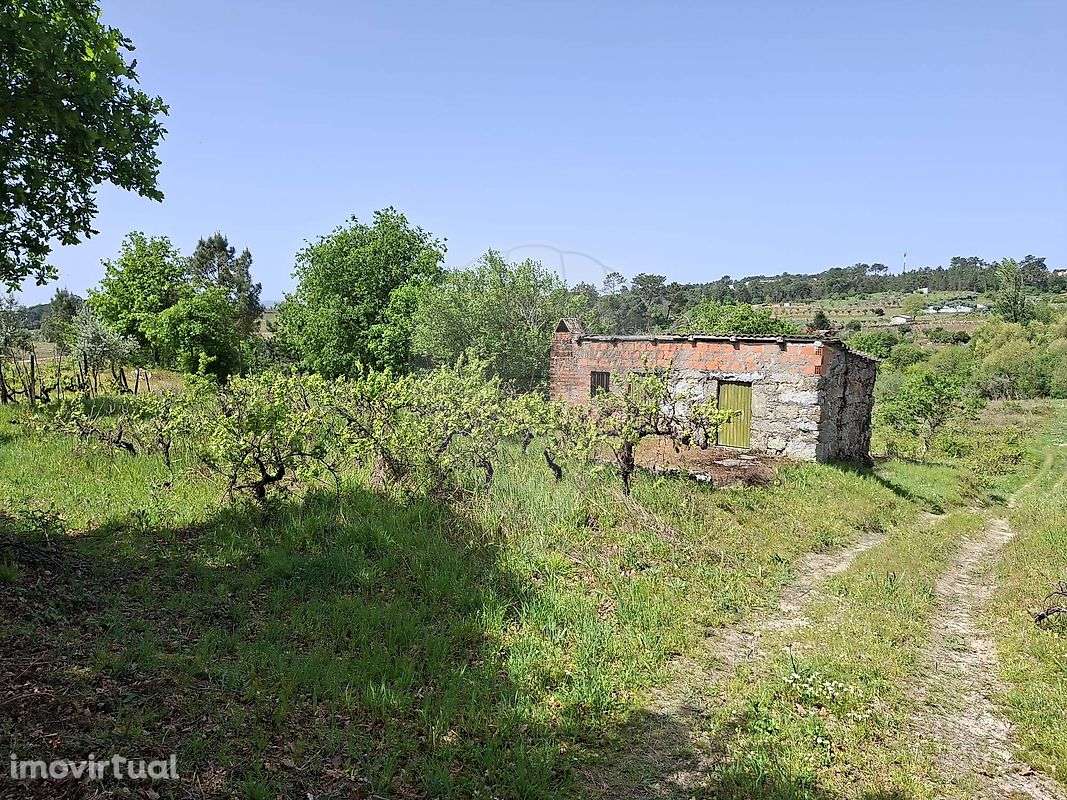 Terreno  para venda - Grande imagem: 4/6