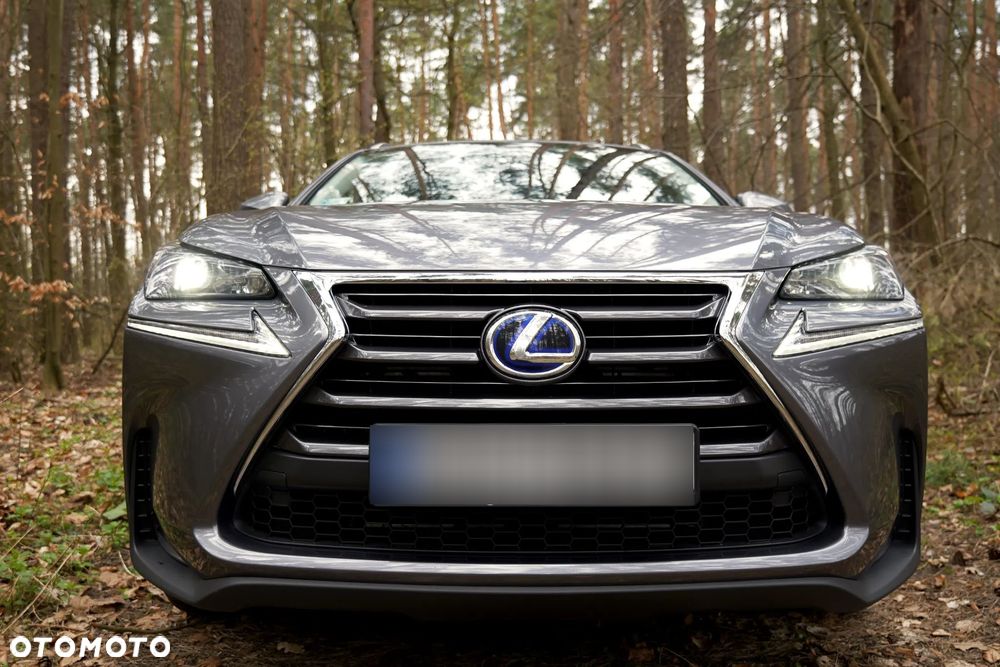 Lexus NX 300h Elegance AWD - 7