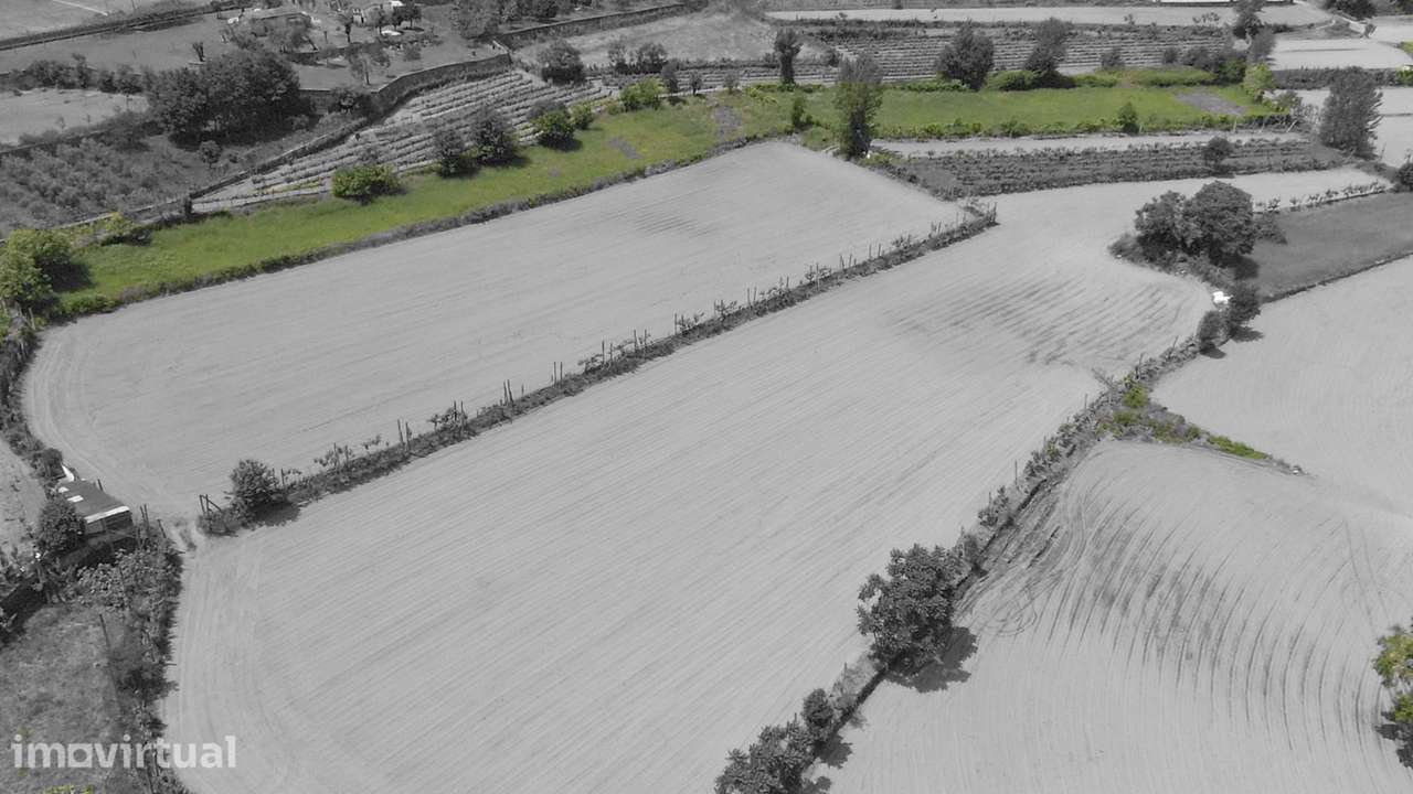 Terreno Agrícola  em Longos/Guimarães - Grande imagem: 4/10