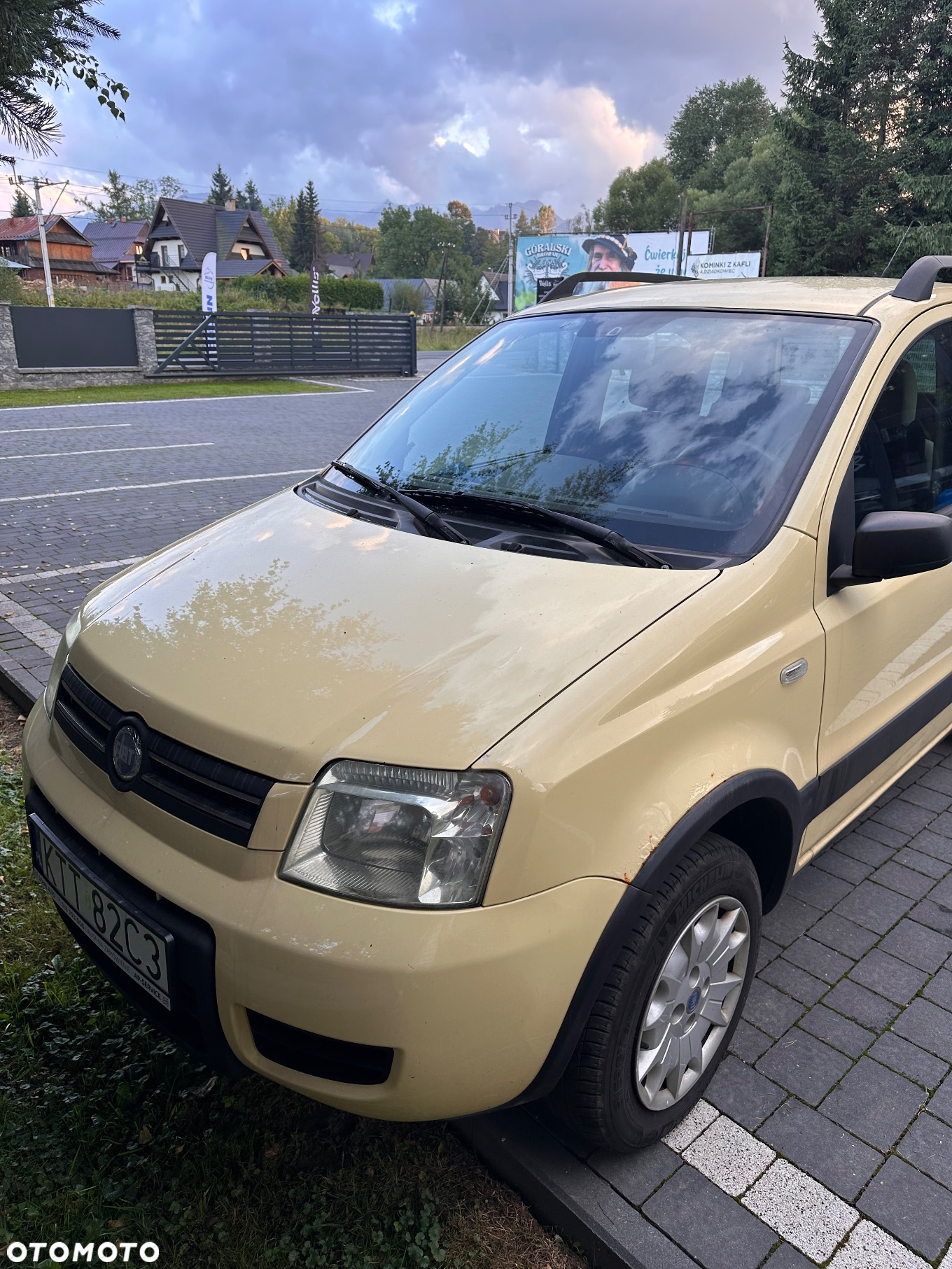 Fiat Panda 1.2 4x4 Climbing - 4