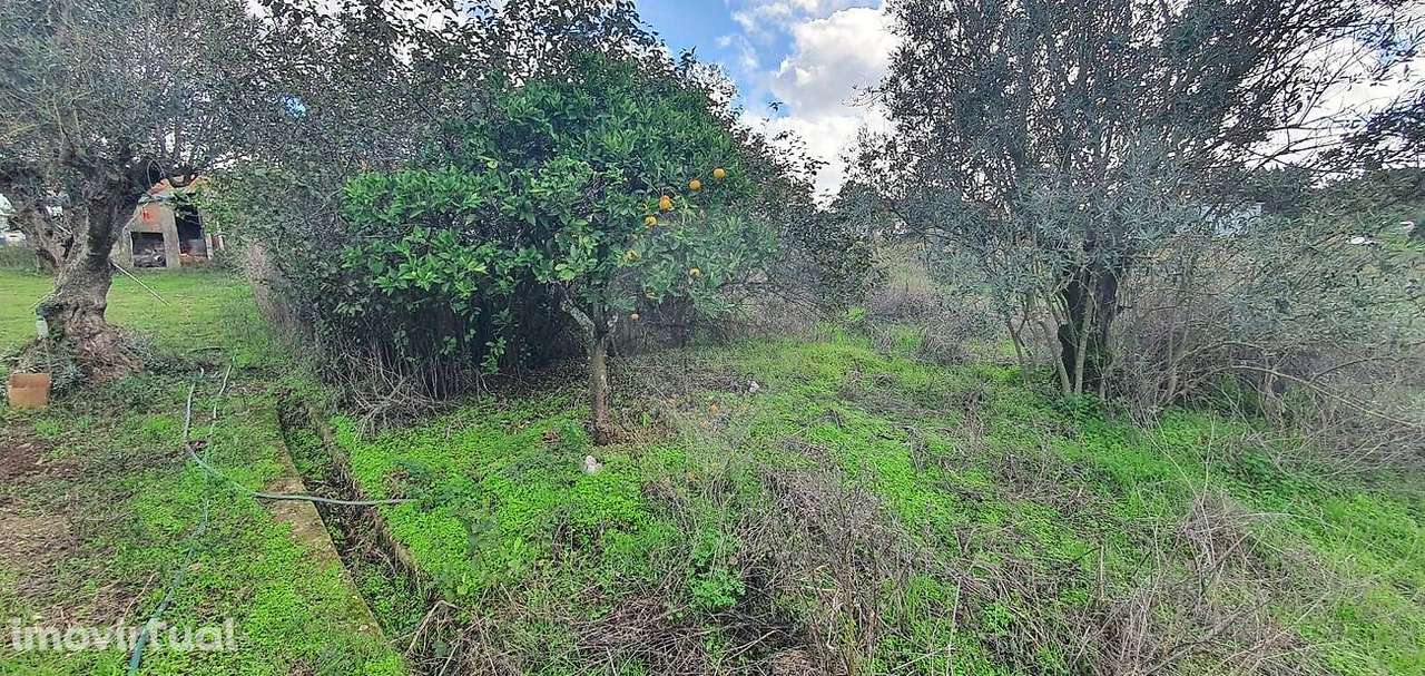 Moradia T1 para venda - Grande imagem: 4/11