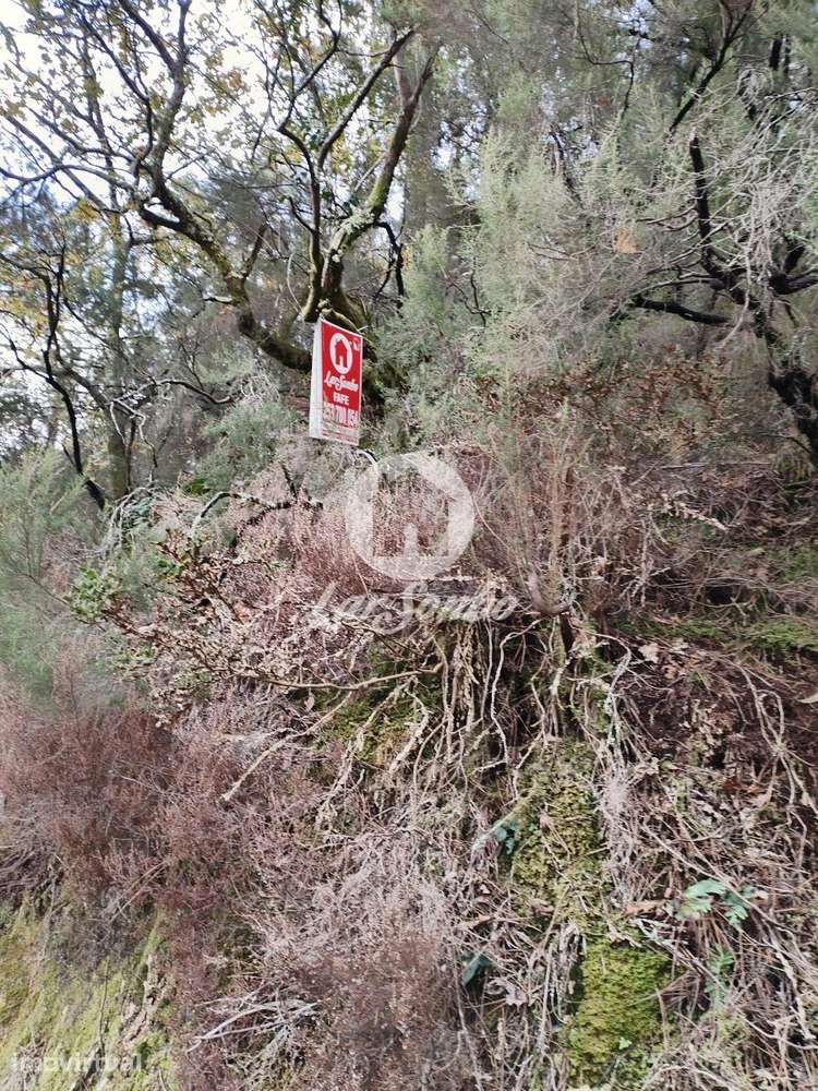 Terreno de 3600m² para Plantação ou Cultivo no Parque Natural do Gerês - Grande imagem: 2/4