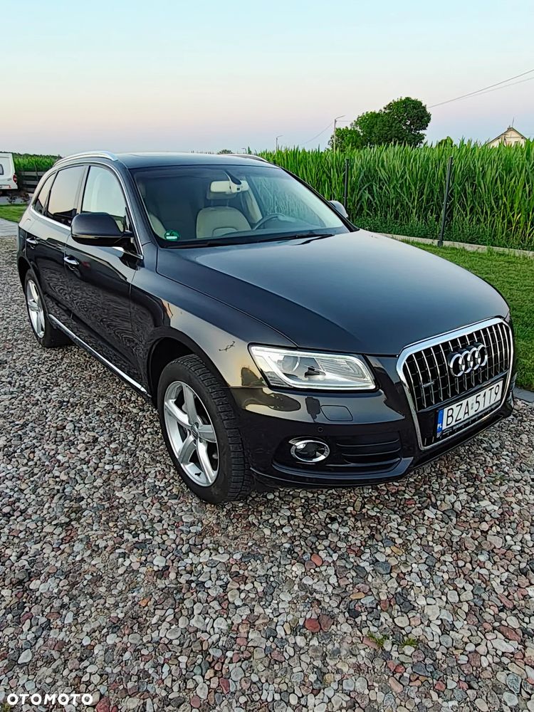 Audi Q5 - 20
