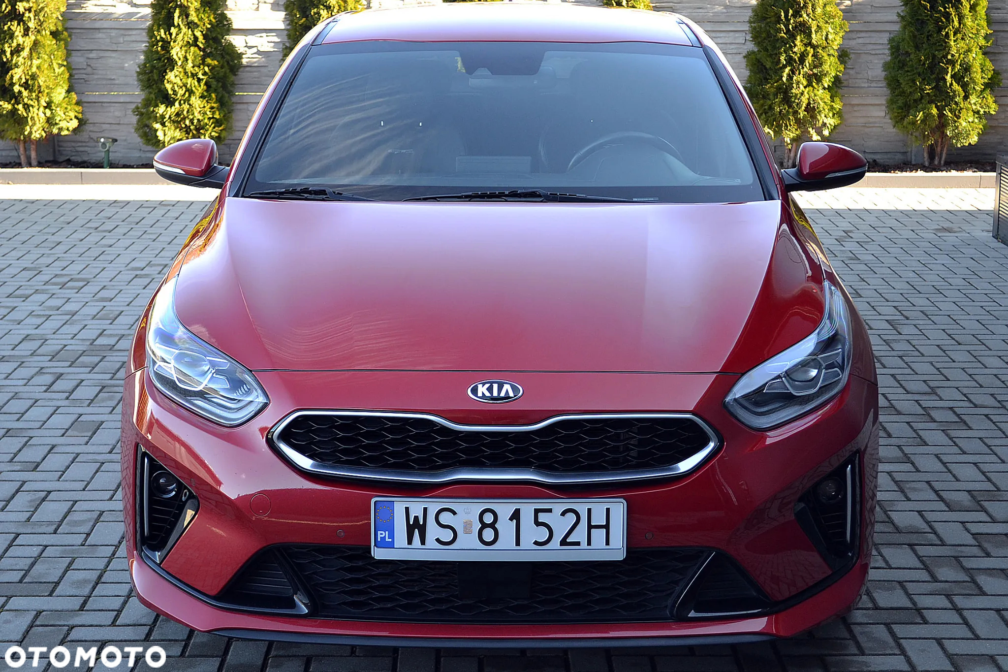 Kia ProCeed 1.4 T-GDI GT Line DCT - 2