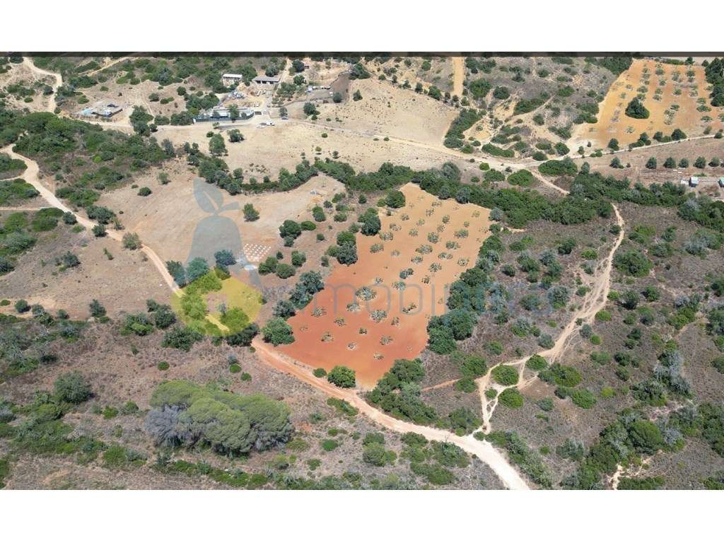 Terreno rustico perto Vila Pera - Grande imagem: 5/5