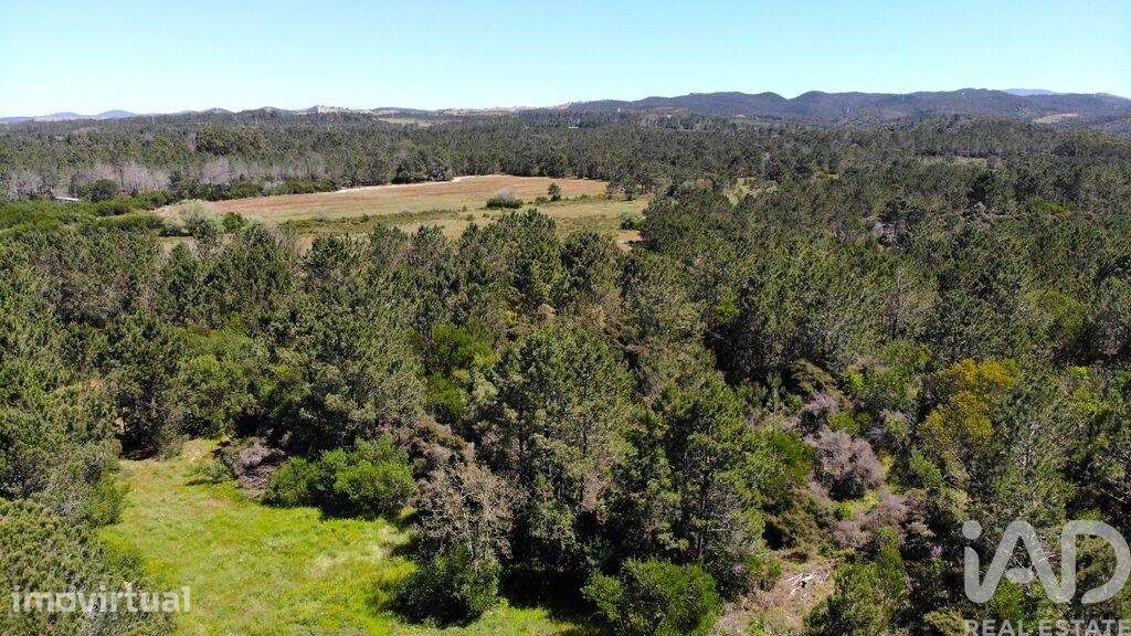 Terreno para construção em Aljezur de 300,00 m2 - Grande imagem: 2/30