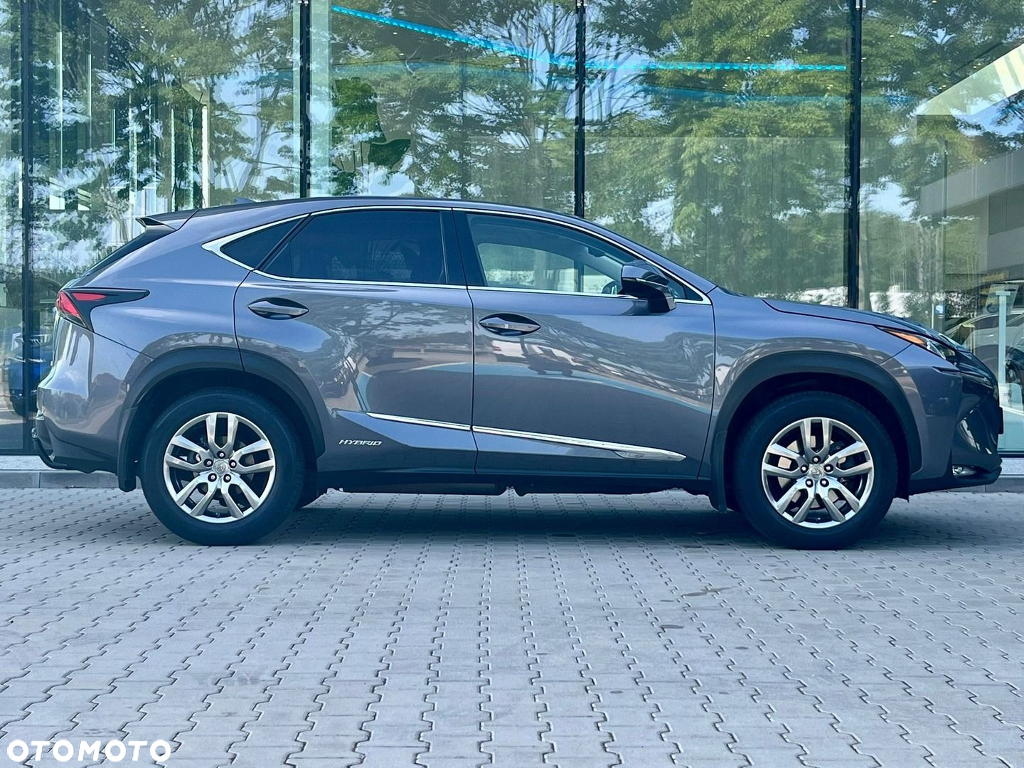 Lexus NX - 4