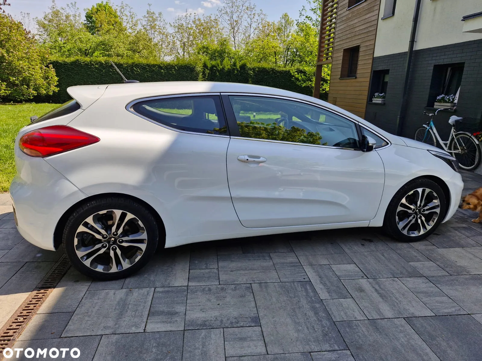 Kia Ceed 1.6 GDI Dream Team Edition - 12