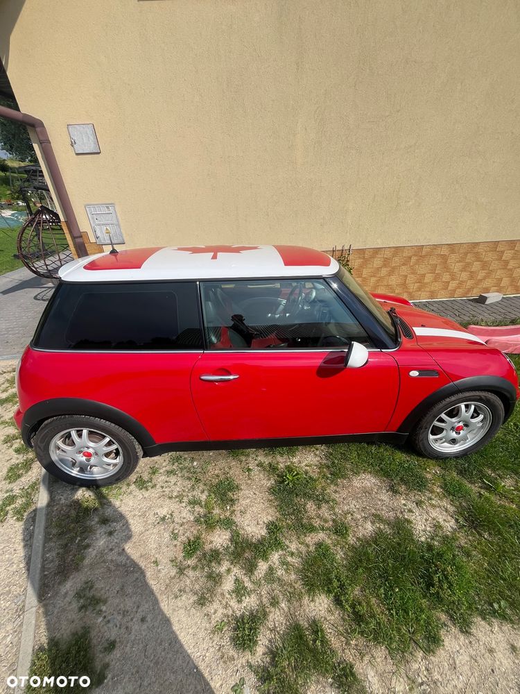 MINI Cooper chili - 5