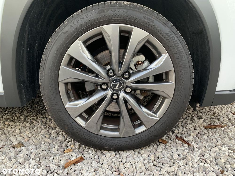 Lexus UX 300h F Sport Design - 17