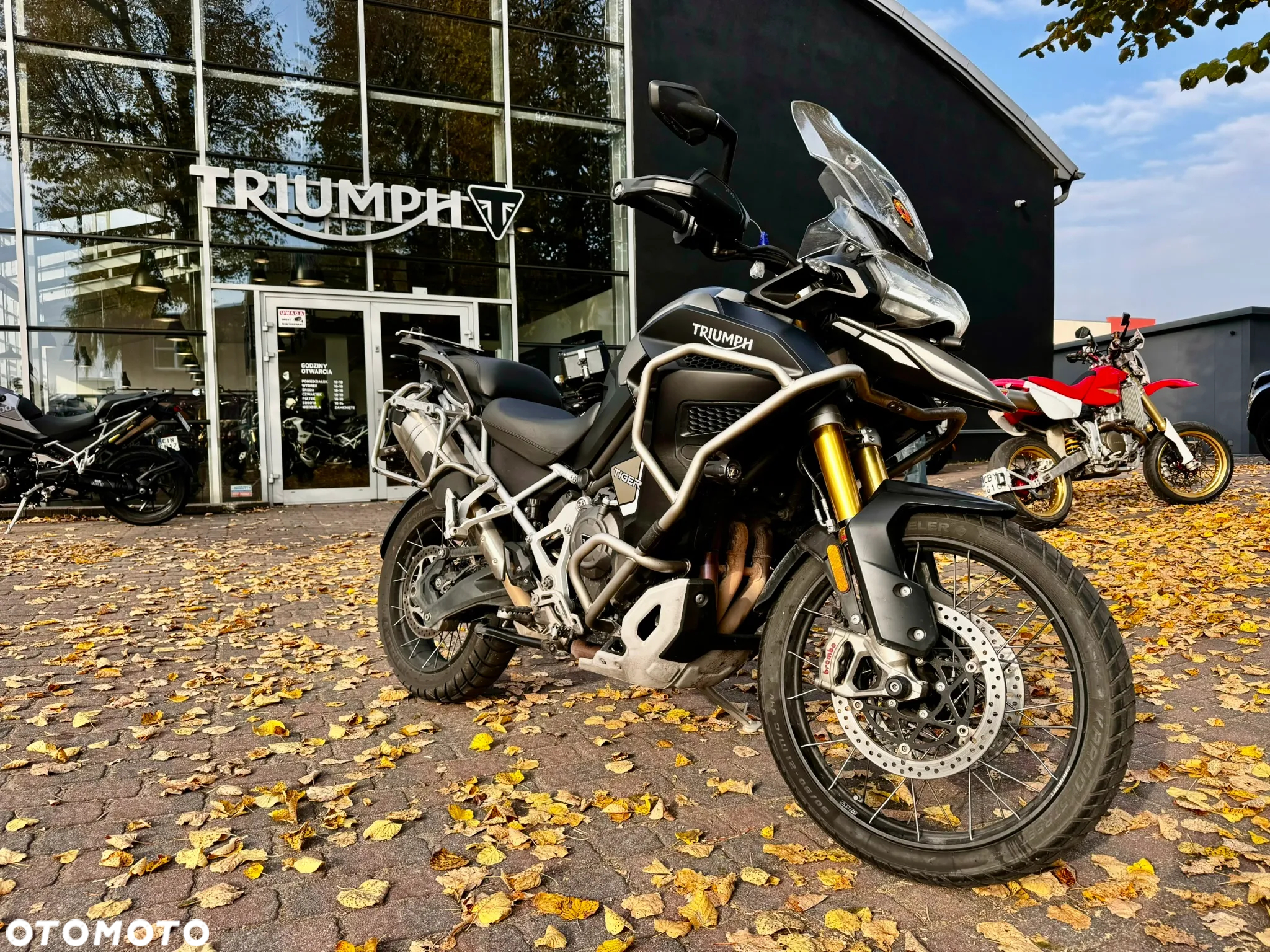 Triumph Tiger - 2