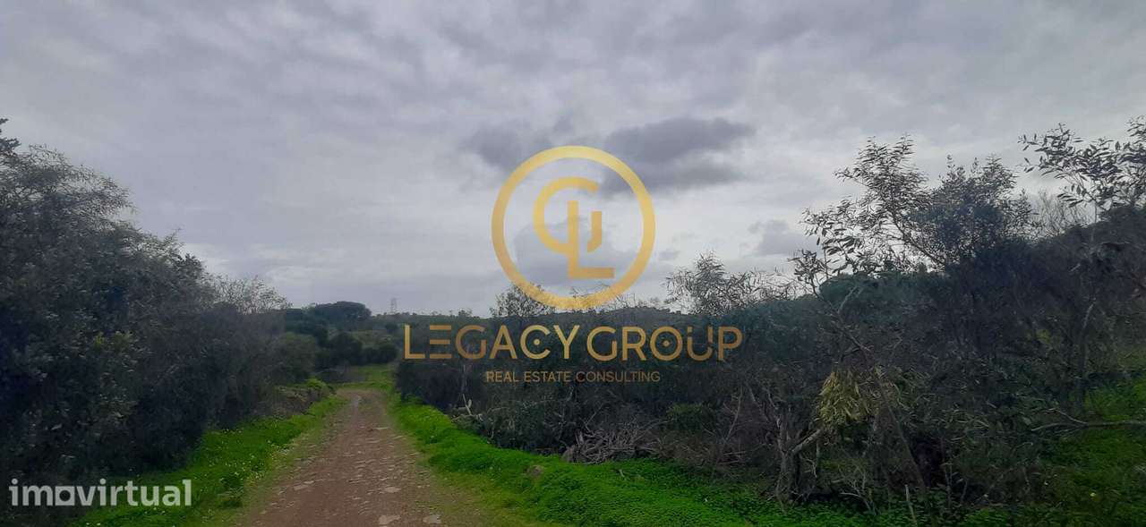 Terreno rústico com 2,11 hectares em Azinhal - Grande imagem: 2/9