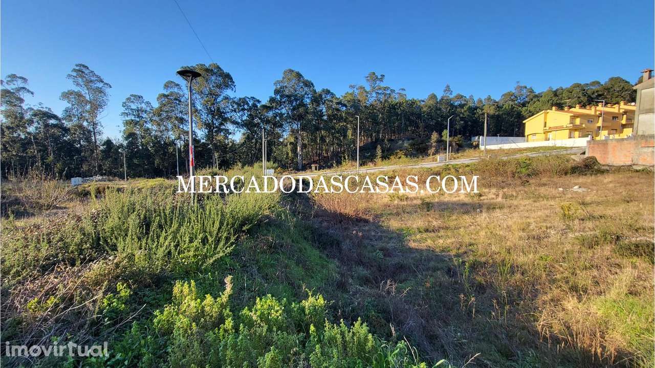 Vários lotes a partir de 25 mil euros, Fajões - Grande imagem: 4/6