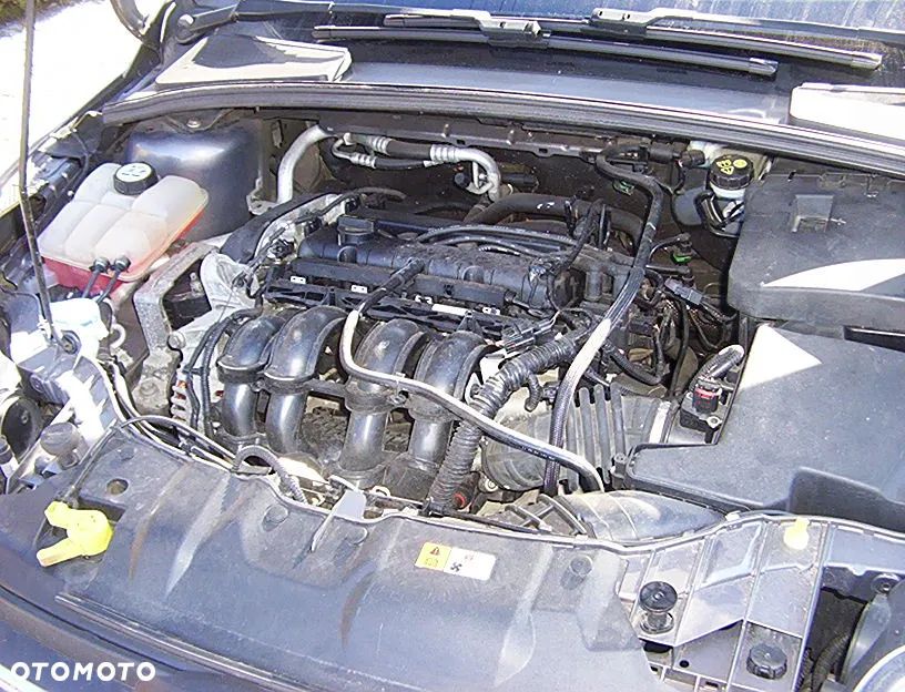 Ford Focus 1.6 TI-VCT Trend - 19