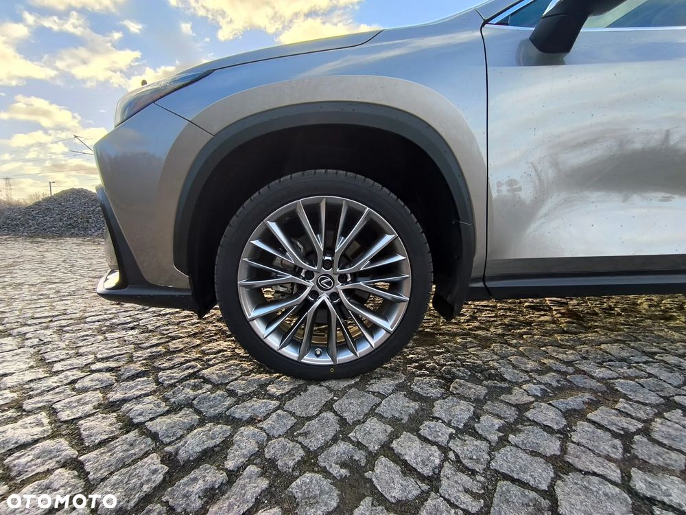 Lexus NX - 23