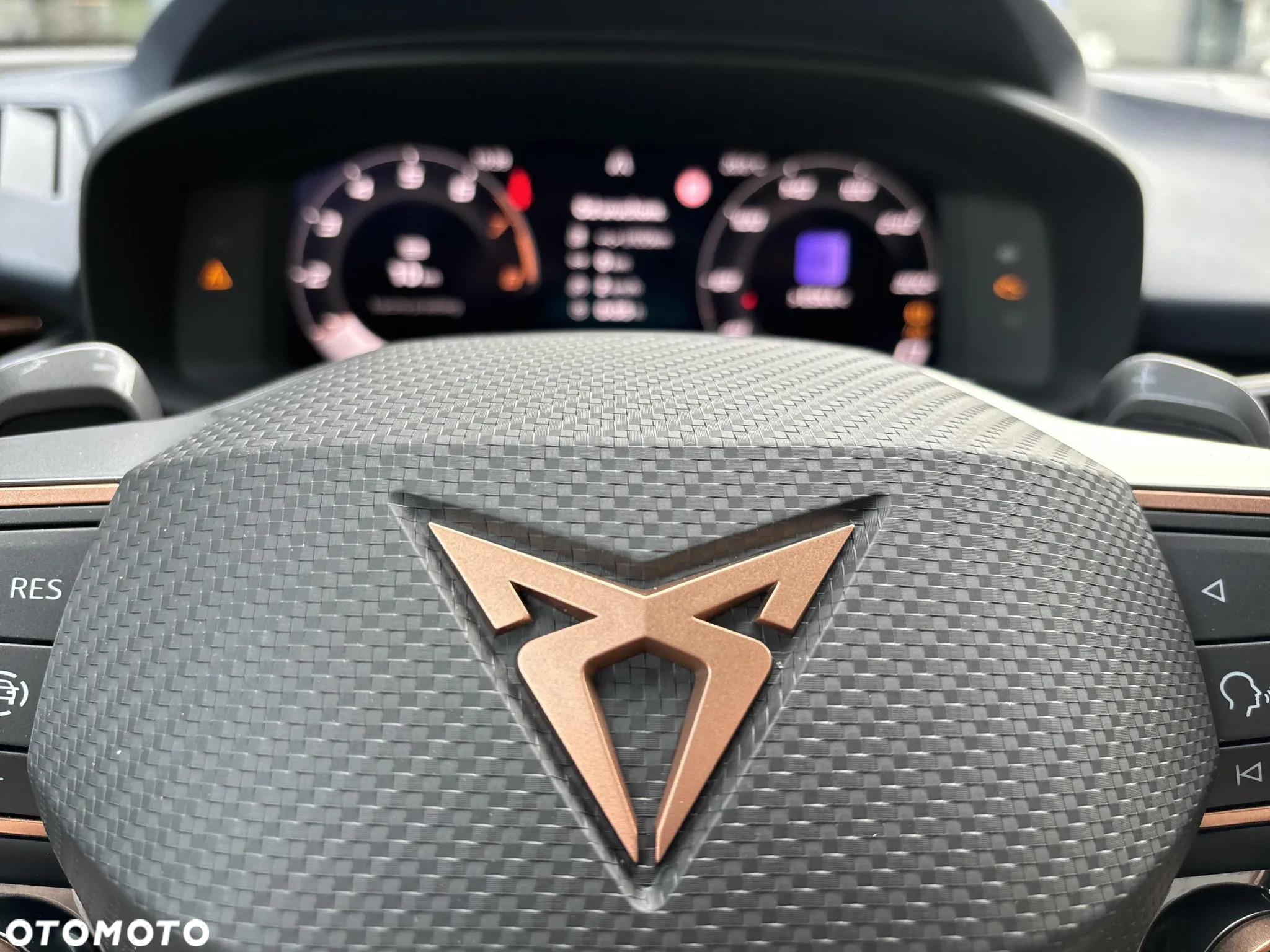 Cupra Terramar - 18