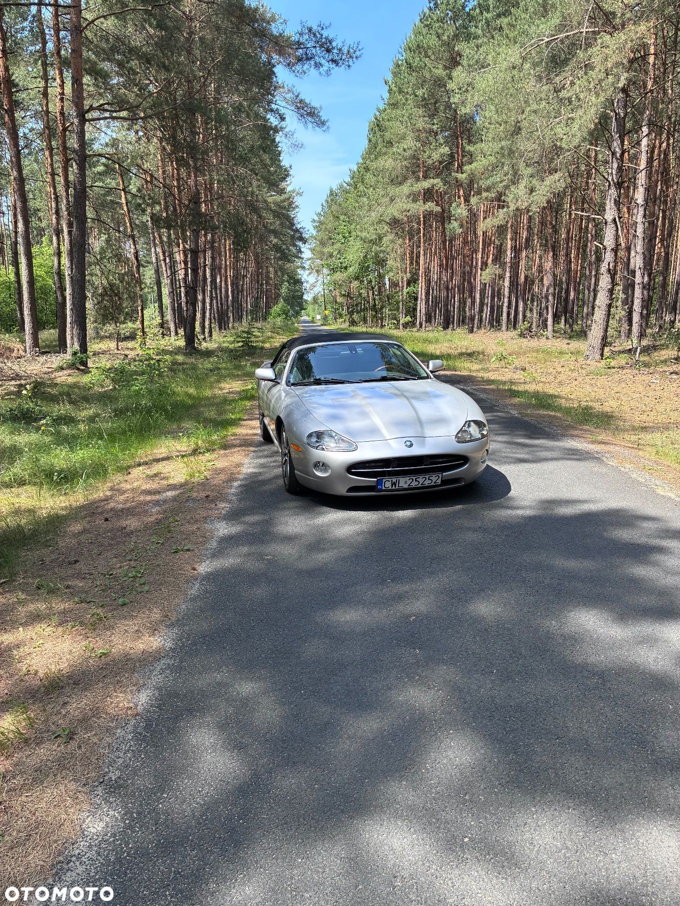 Jaguar XK8 Cabriolet - 1