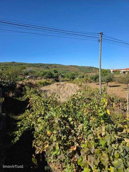 Vende-se terreno rústico com 500m2, na freguesia de Estreito - Grande imagem: 5/8