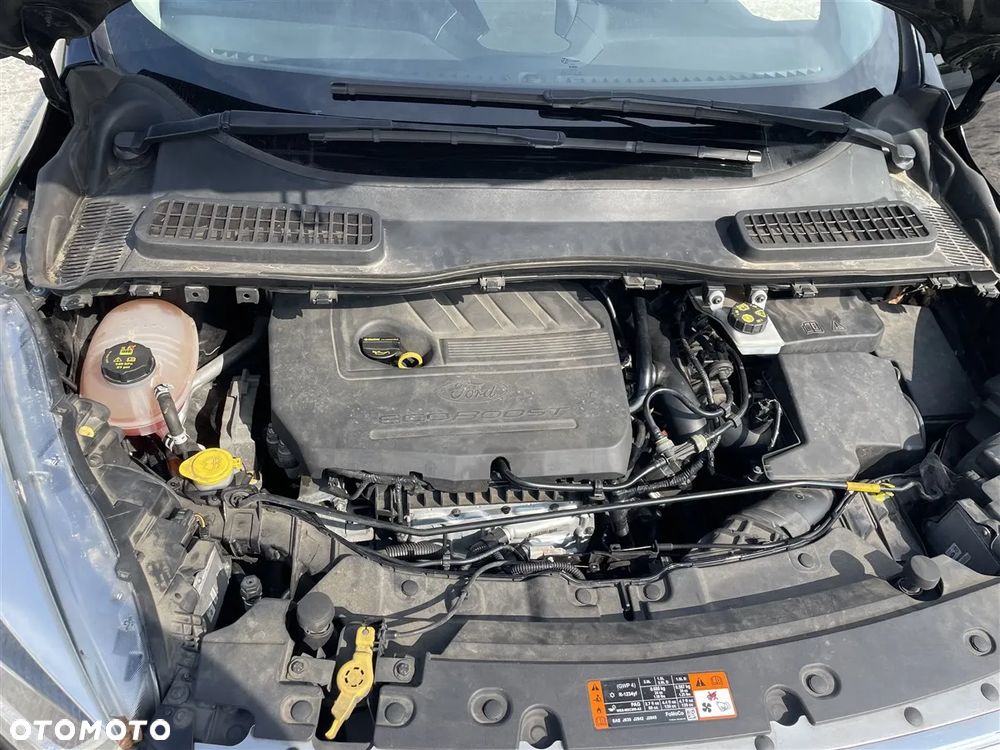 Ford Kuga 1.5 EcoBoost 2x4 Business Edition - 22