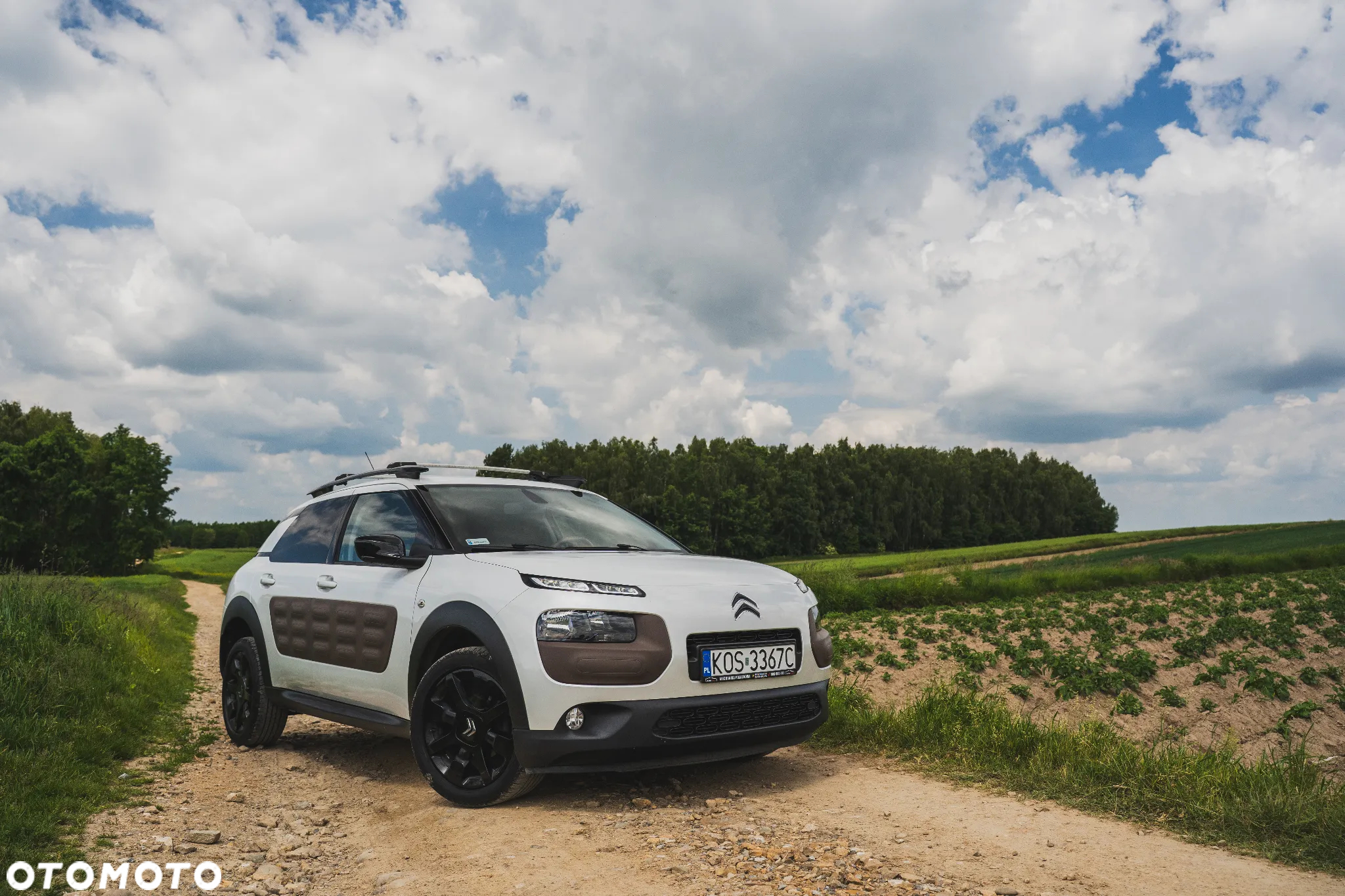 Citroën C4 Cactus - 2