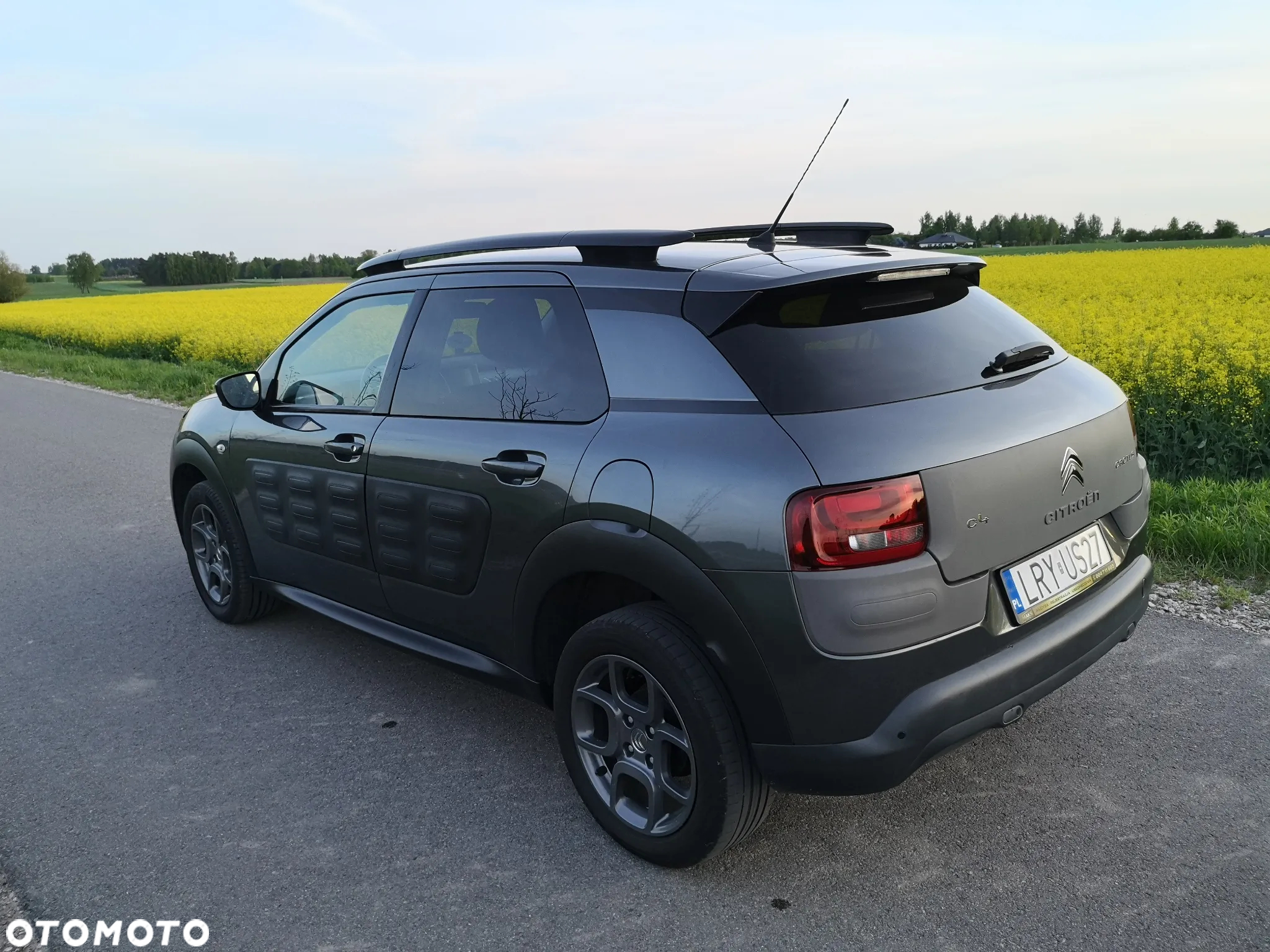 Citroën C4 Cactus 1.2 PureTech Shine Edition S&S ETG - 3