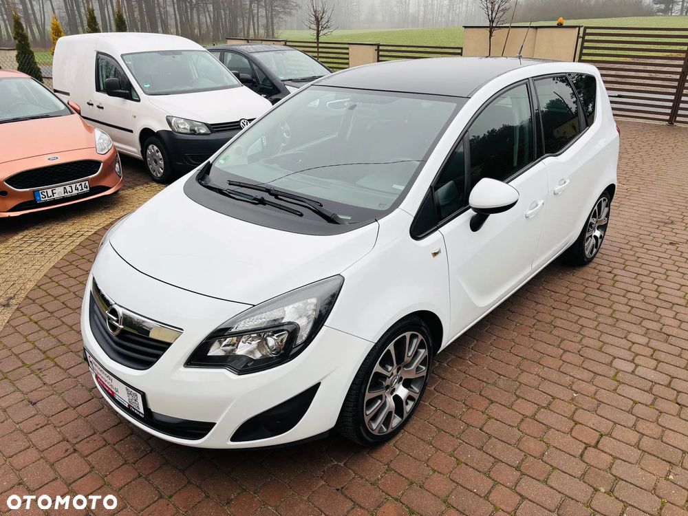 Opel Meriva 1.4 Ecoflex Color Edition - 19