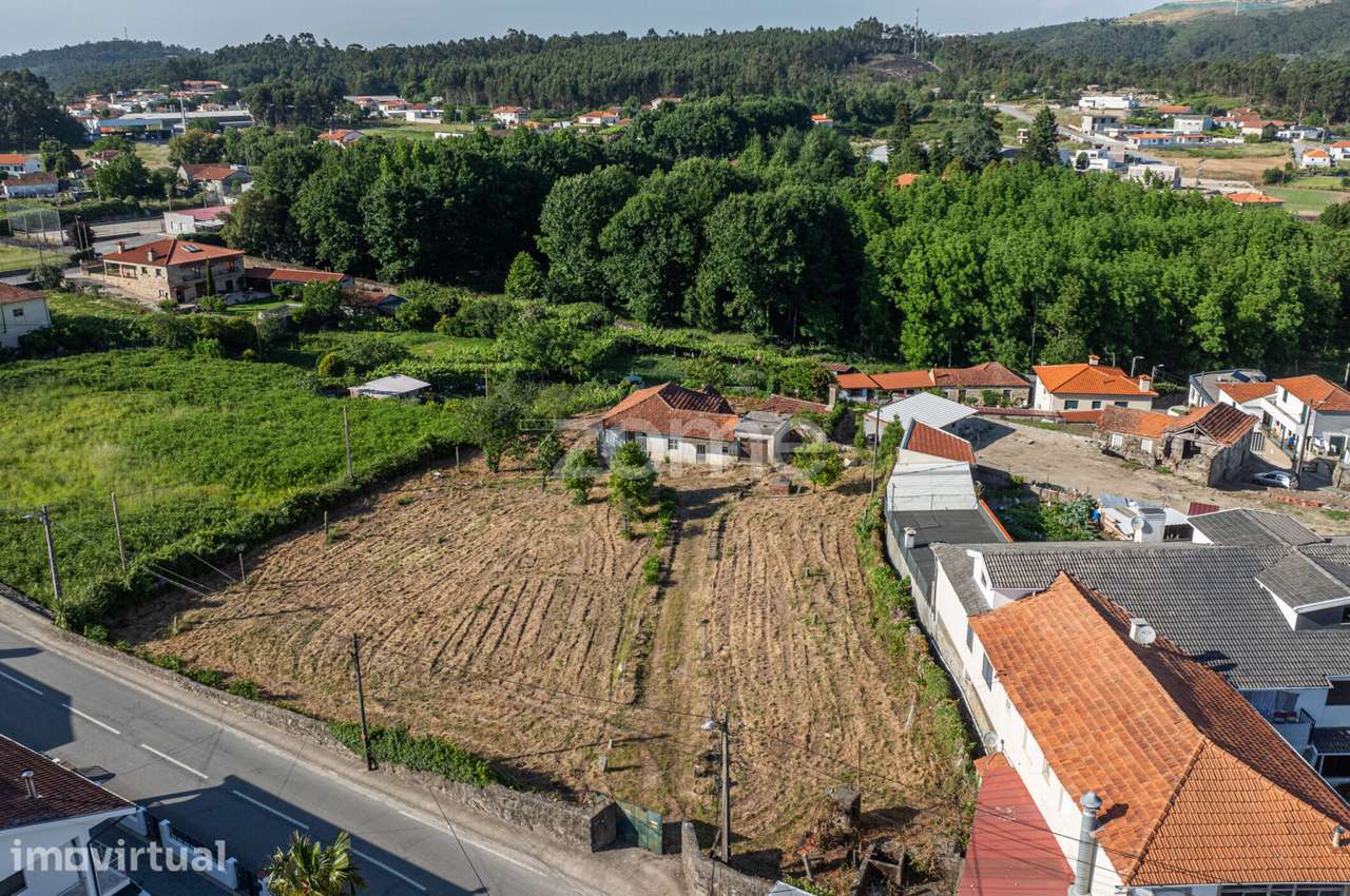 Projeto Natureza Sousela – Potencial Turístico a 40 Minutos do Port... - Grande imagem: 3/21