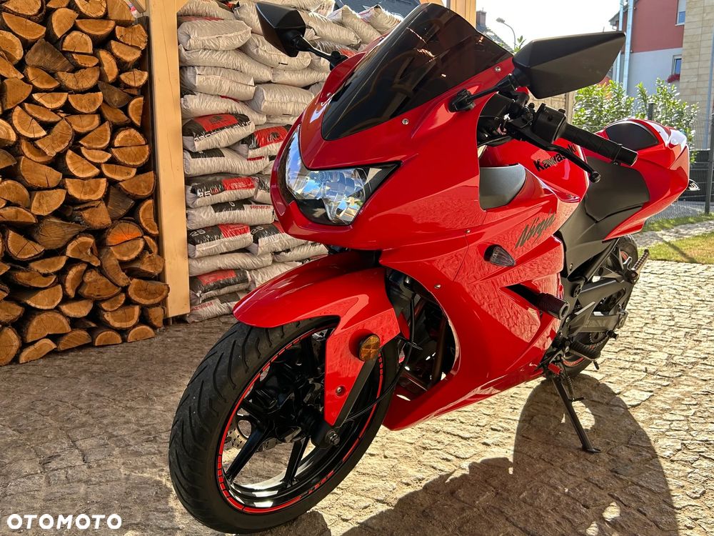 Kawasaki Ninja 250R - 7