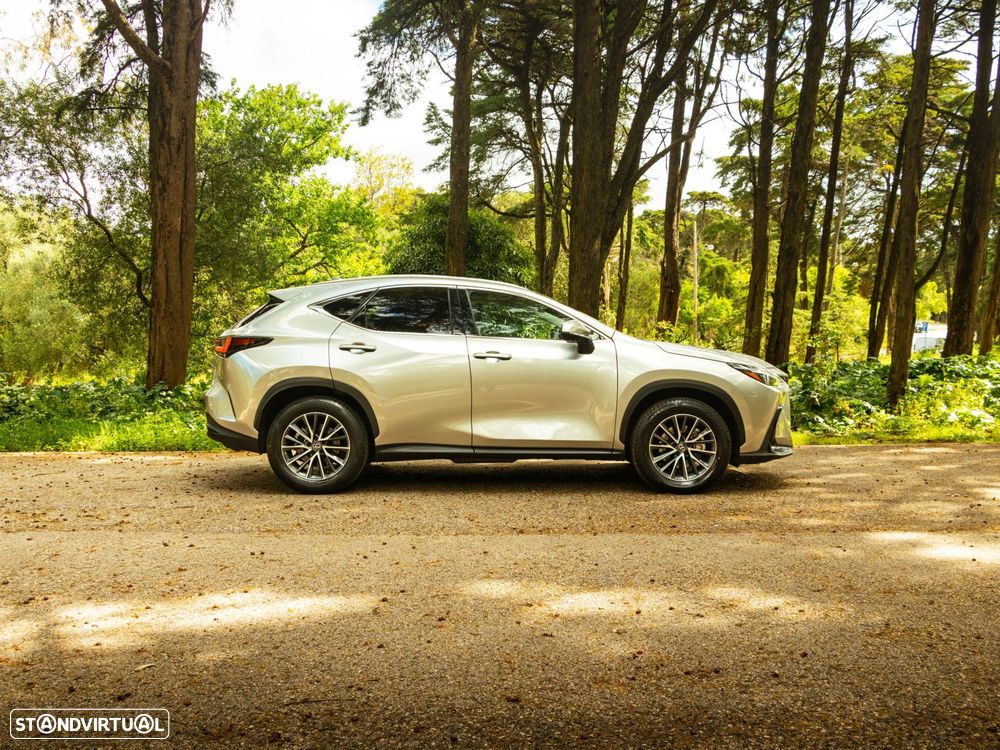 Lexus NX 350h Executive+ - 8