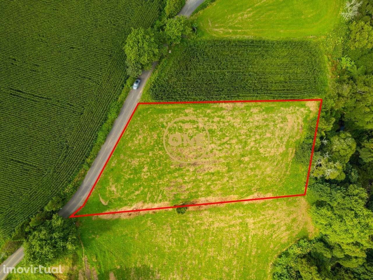 Terreno Agrícola – Maia | Ribeira Grande | Ilha de São Miguel - Grande imagem: 2/5