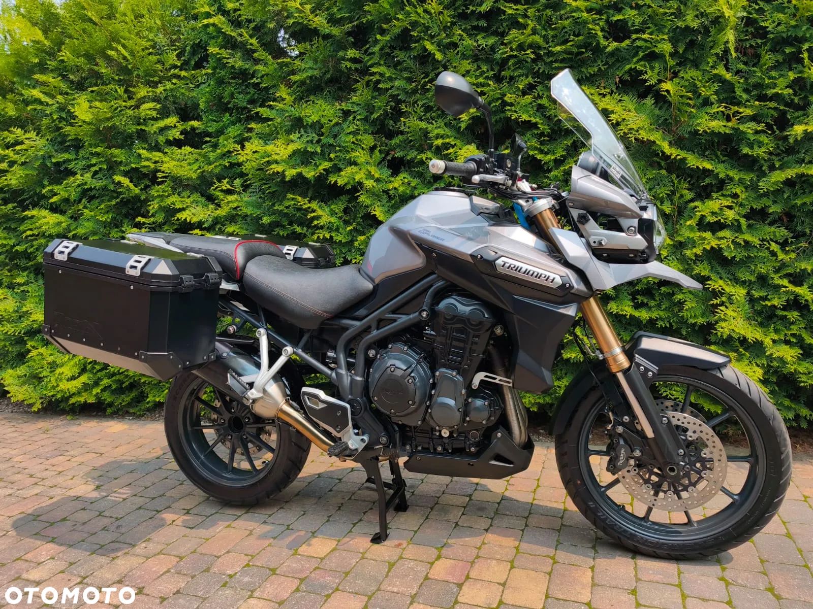 Triumph Tiger - 1