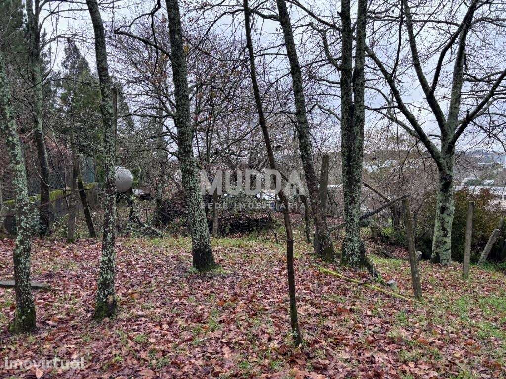 Oportunidade Terreno  Zona Industrial em S. João da Madeira - 1 819m2 - Grande imagem: 4/7