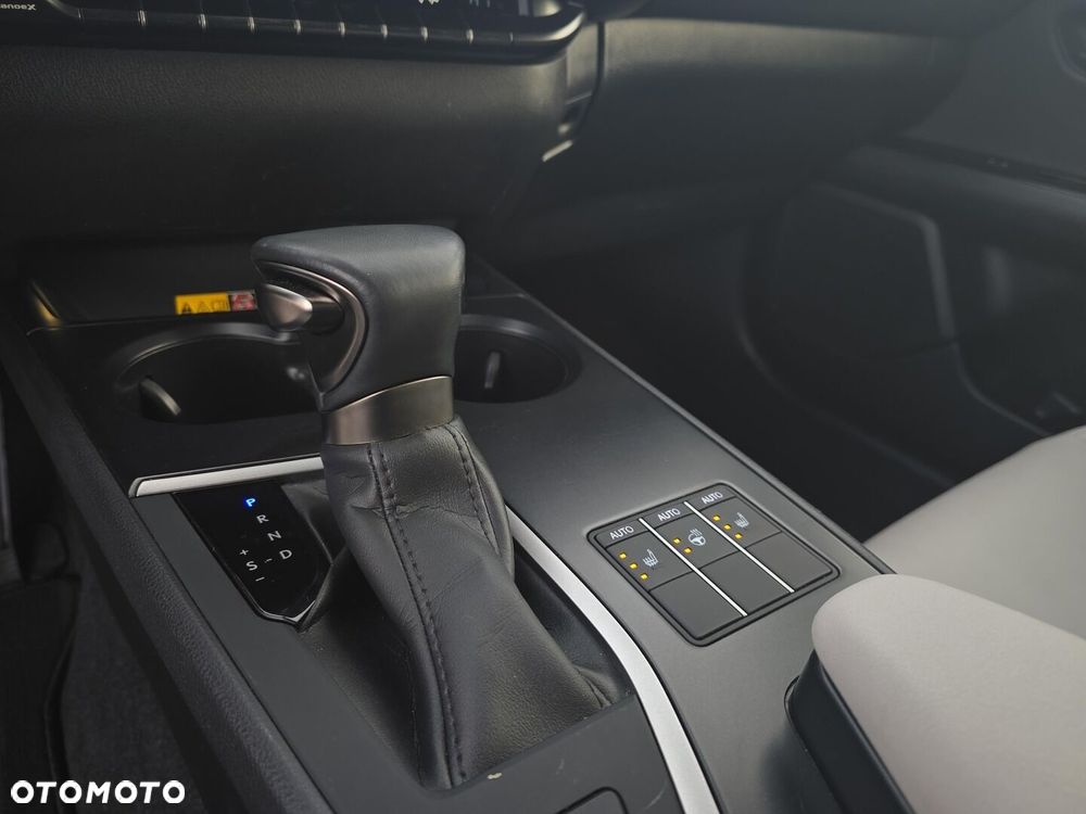 Lexus UX 250h GPF F Sport Design 2WD - 19