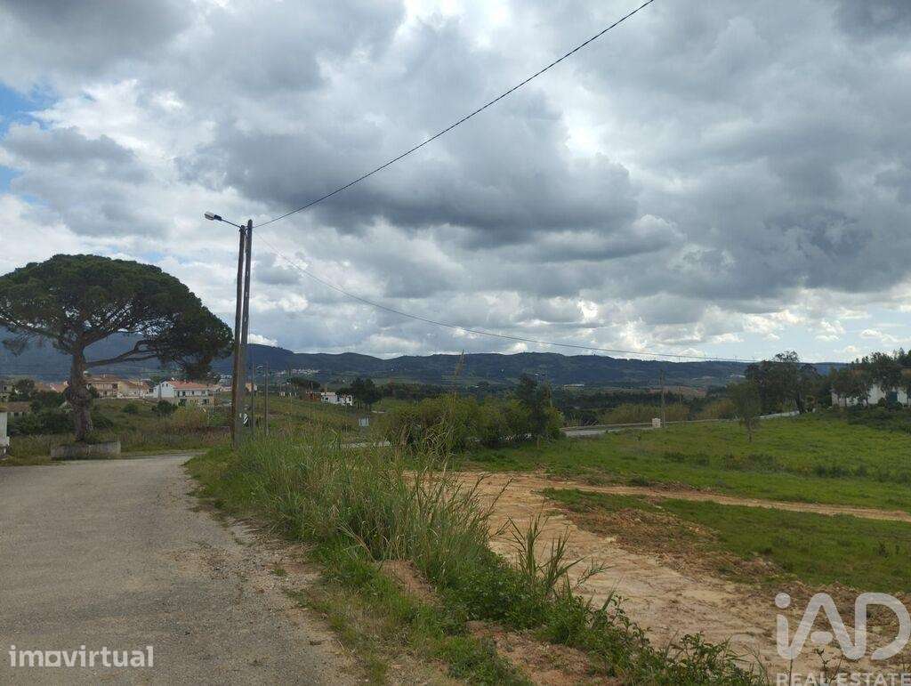 Terreno para construção T3 em Cadaval e Pêro Moniz de 160,00 m2 - Grande imagem: 3/30