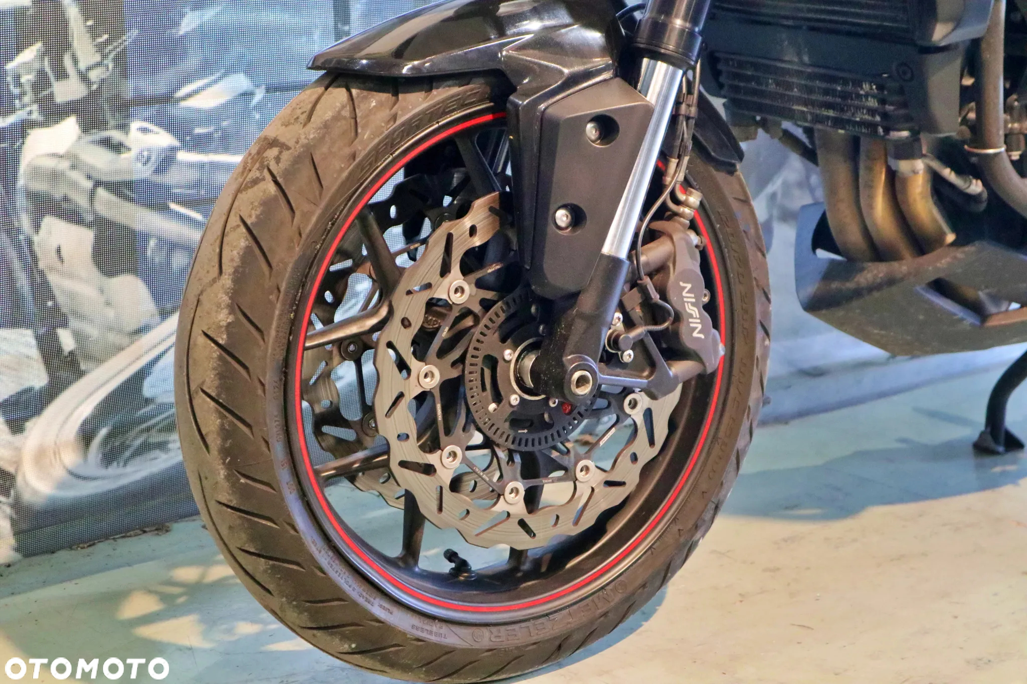 Triumph Tiger - 5