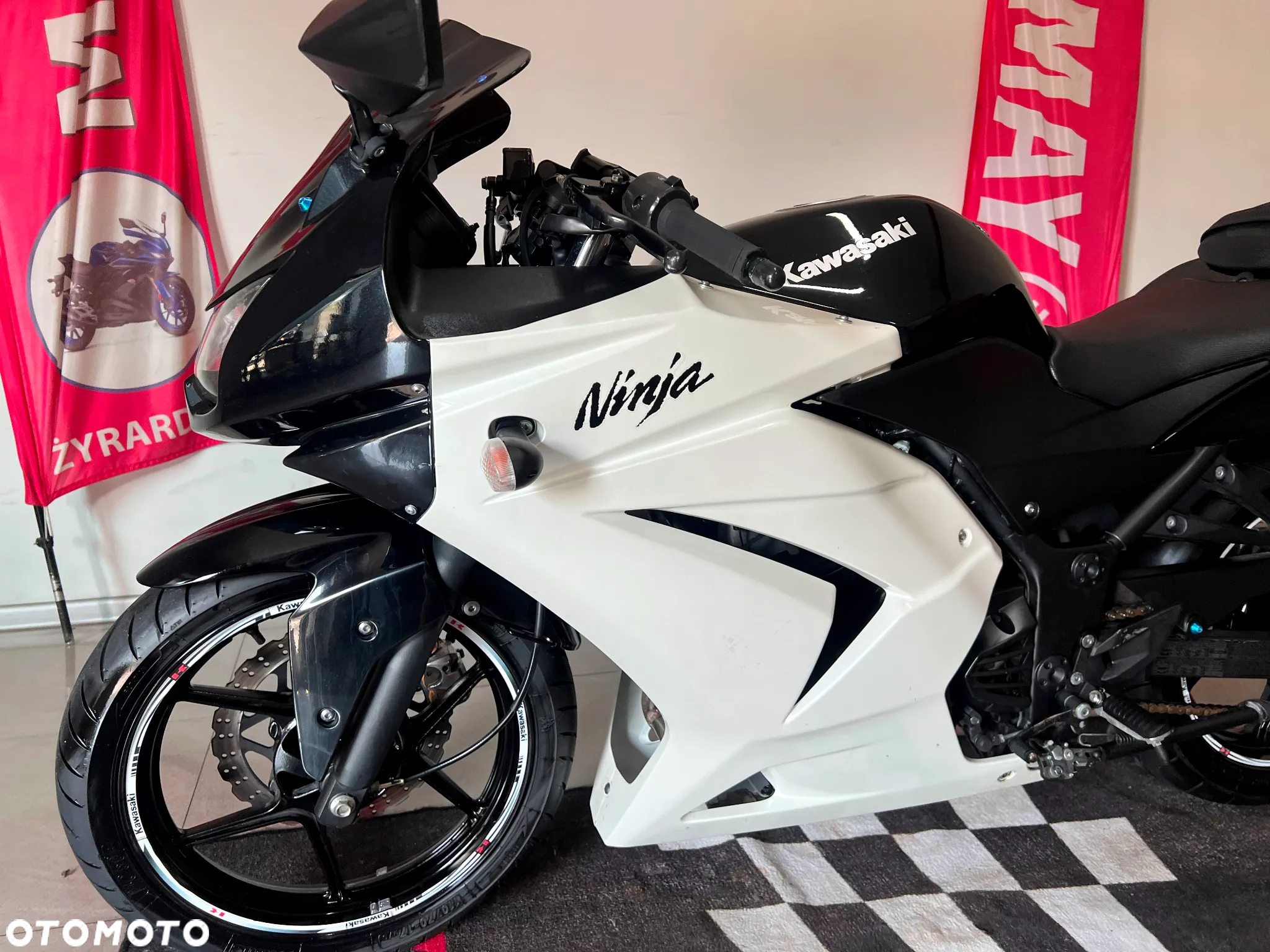 Kawasaki Ninja 250R - 13