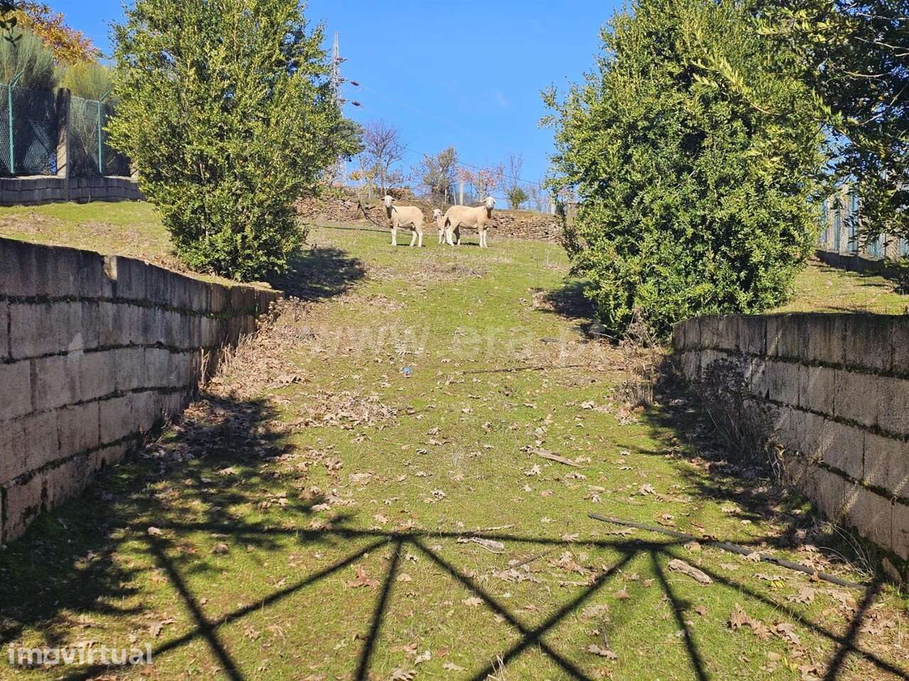 Quintinha T3 / Sabugal, Sabugal e Aldeia de Santo António - Grande imagem: 4/20