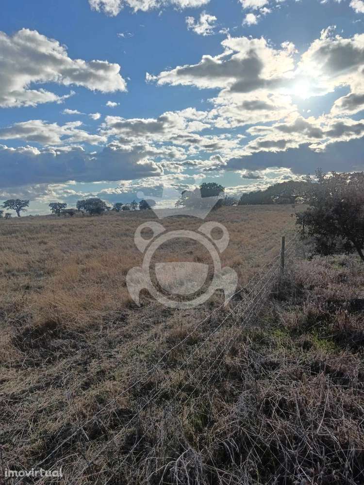 Terreno Rustico com possibilidade de construção - Grande imagem: 3/30