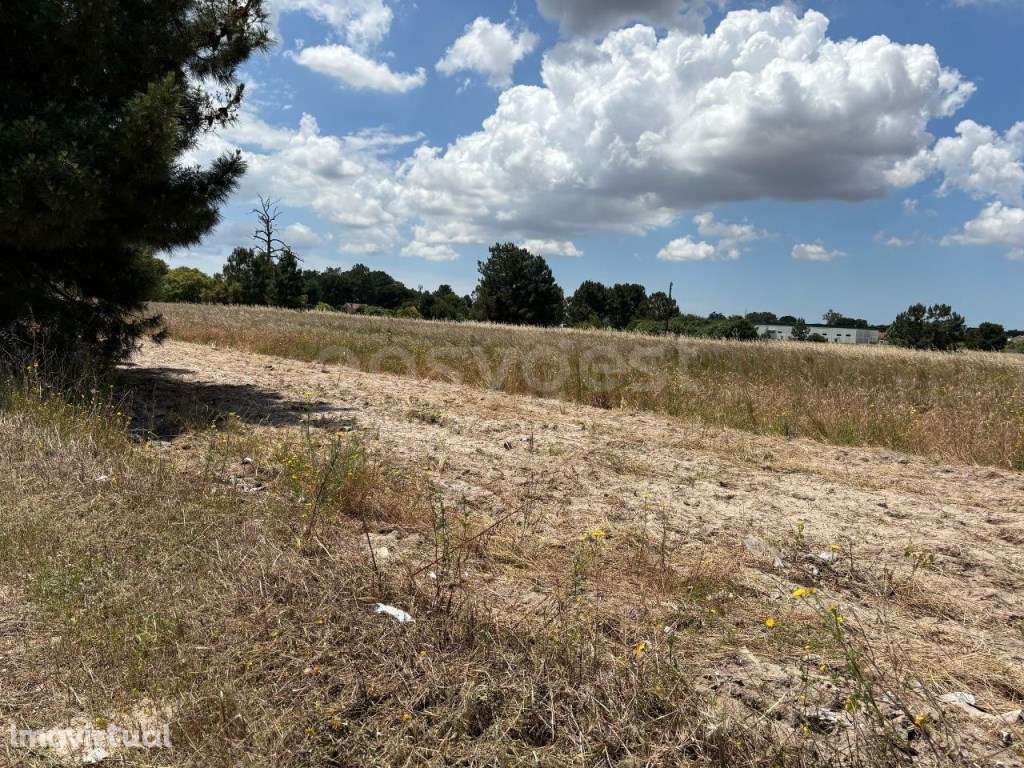 Terreno misto com viabilidade de construção com 10hA - Grande imagem: 2/13