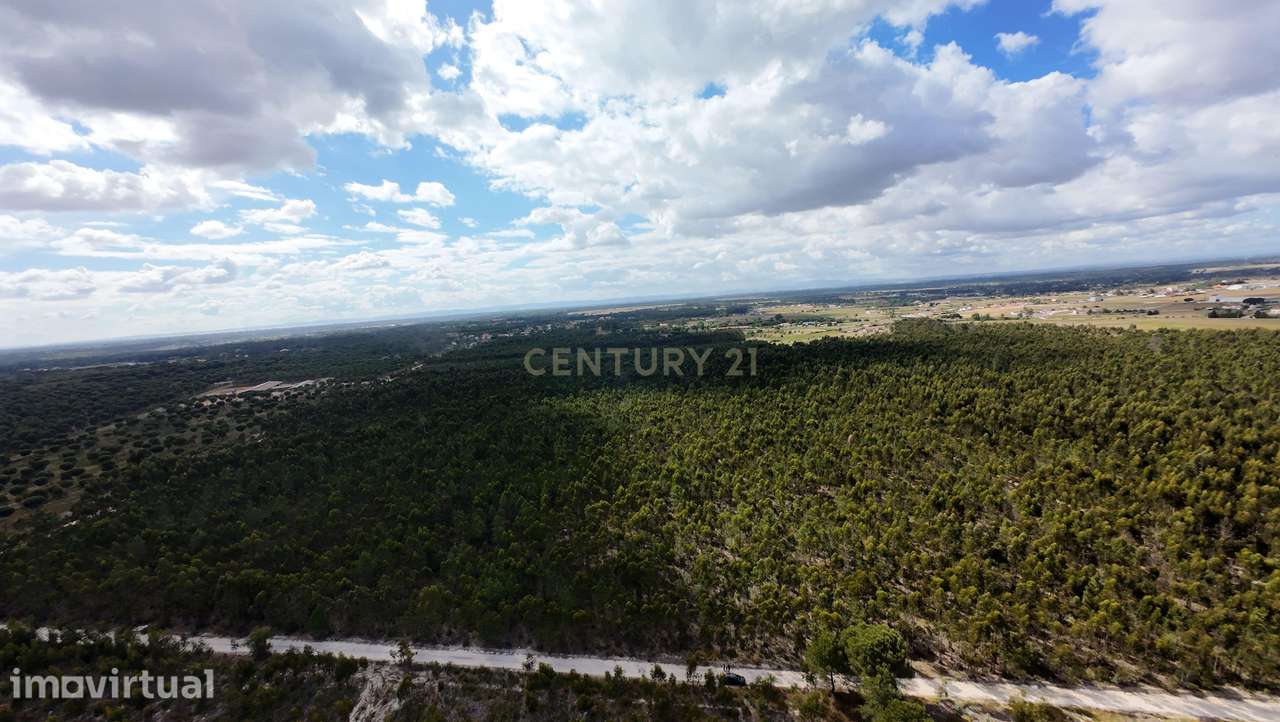 Magnifica Herdade Turística   em Santo Estêvão, Benavente - Grande imagem: 5/18