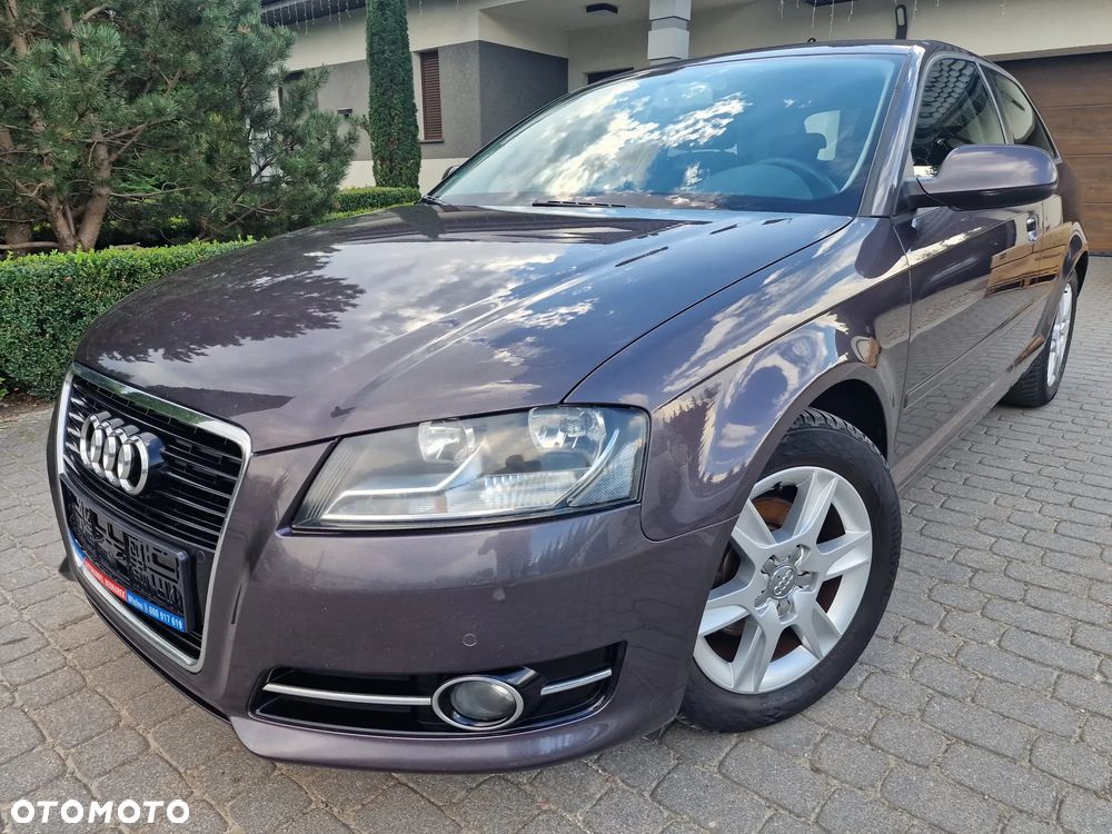 Audi A3 3-drzwiowe 1.6 TDI DPF Attraction - 2