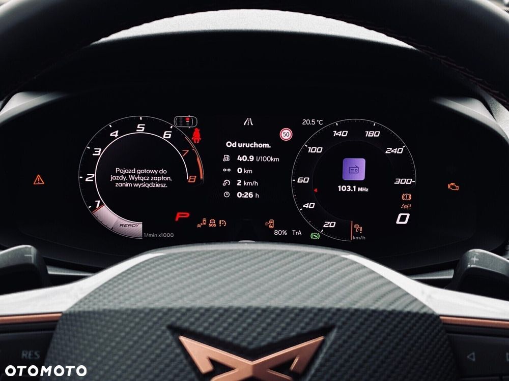 Cupra Terramar - 16