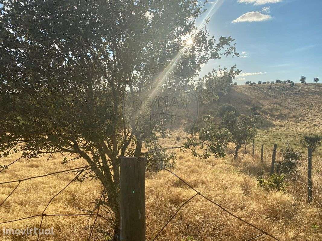 Terreno  para venda - Grande imagem: 4/8