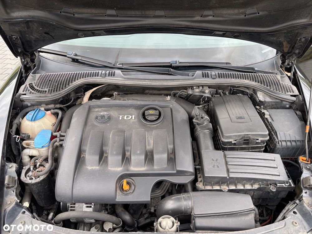 Skoda Octavia 1.9 TDI Mint DSG - 15